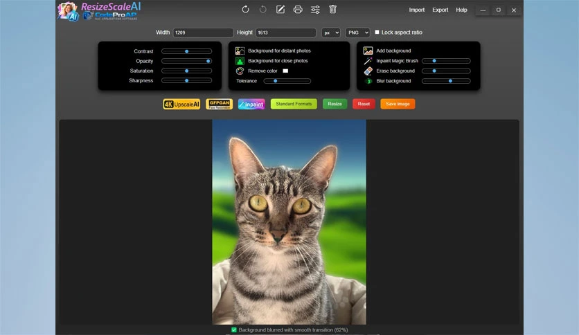 696e28c070c2d-codepro-ap-resizescaleai-screenshot4