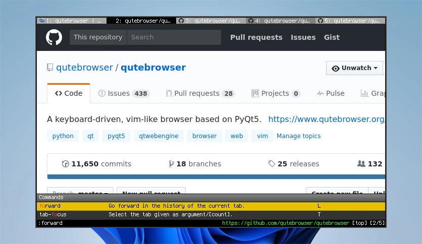 6978978282643-qutebrowser-for-windows-screenshot2