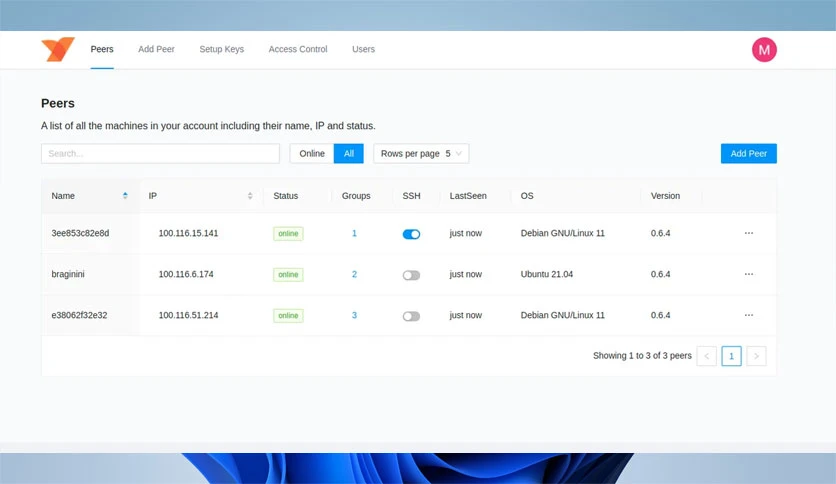 6978876adbb74-netbird-screenshot2