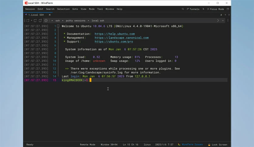 6981c452908ab-kingtoolbox-windterm-screenshot4