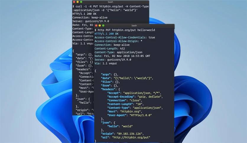 698c673b43d4d-httpie-for-terminal-screenshot1