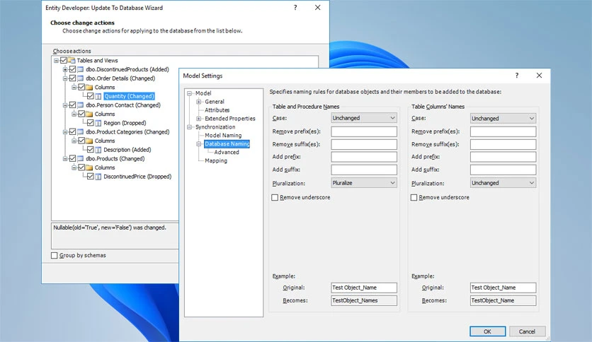 690056dddb431-devart-entity-developer-screenshot3