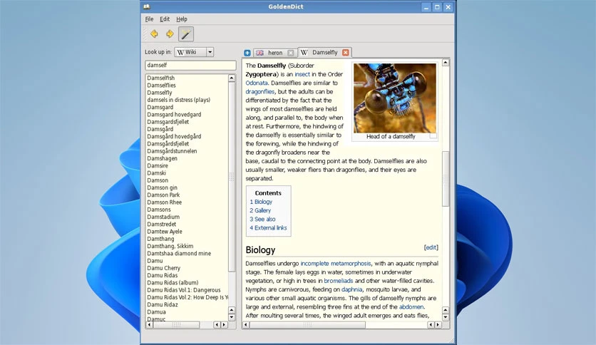 693c0457705c7-konstantin-isakov-goldendict-screenshot2