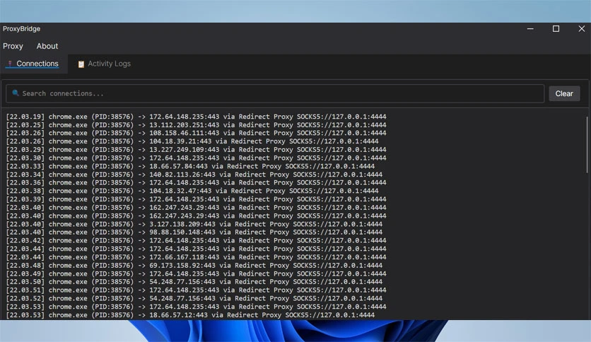 690c85ec446a6-proxybridge-screenshot4
