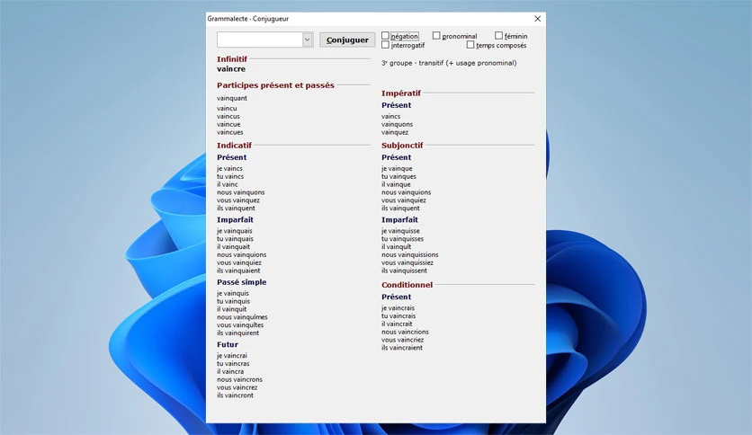 699c02b3b869c-grammalecte-screenshot3