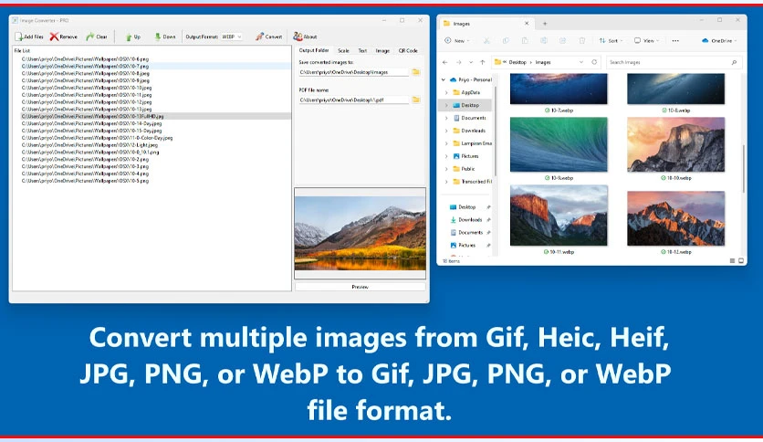 64a273ce5e8f0-tweaknow-image-converter-pro-screenshot2
