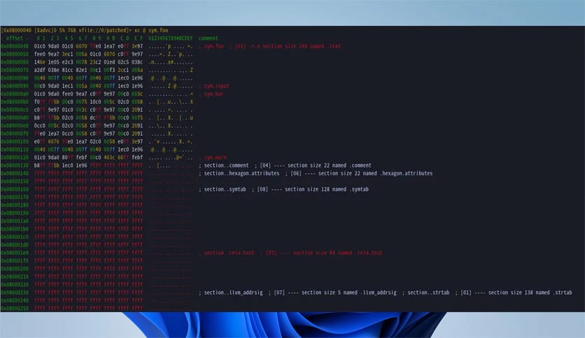 69a7c2175ca39-rizinorg-rizin-screenshot4
