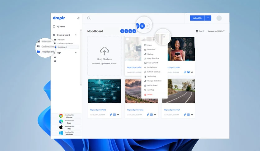 69a91ddf4f591-droplr-screenshot2
