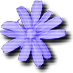 Cloanto C64 Forever 11.2.6 Plus Edition