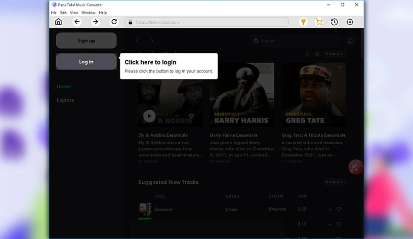 65d878b43761a-pazu-tidal-musicconverter-screenshot3