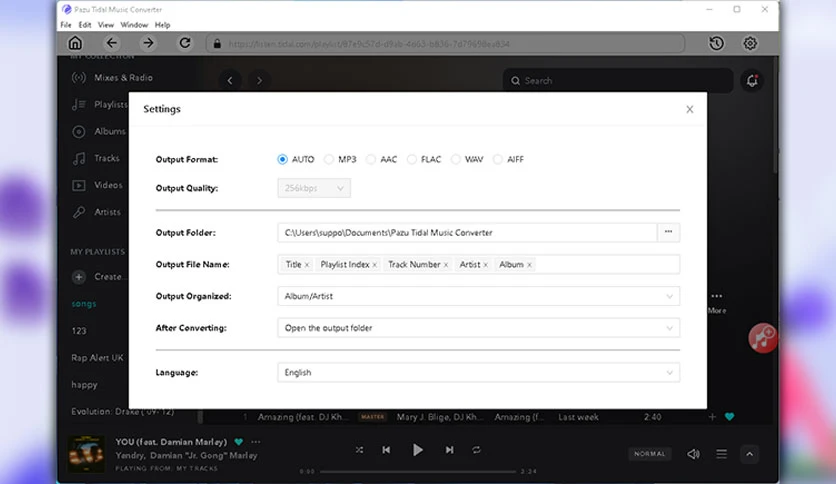 65d878b1f1687-pazu-tidal-musicconverter-screenshot1