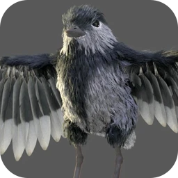 Bird Generator Setup for Geometrynodes Blender 3.6