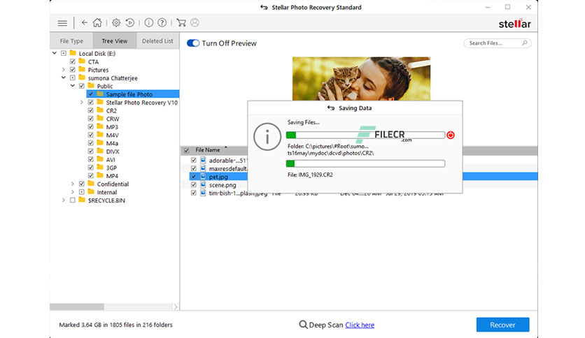 Stellar-Photo-Recovery-Free-download-03