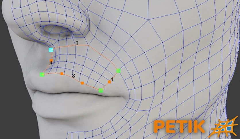 694254f63f913-superhive-market-petik-retopology-patch-maker-screenshot1