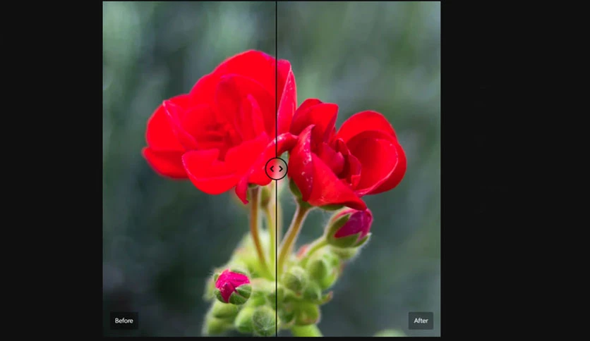 69ca66e3bffd9-cobalt-image-base-pack-for-adobe-panasonic-lumix-g-screenshot2