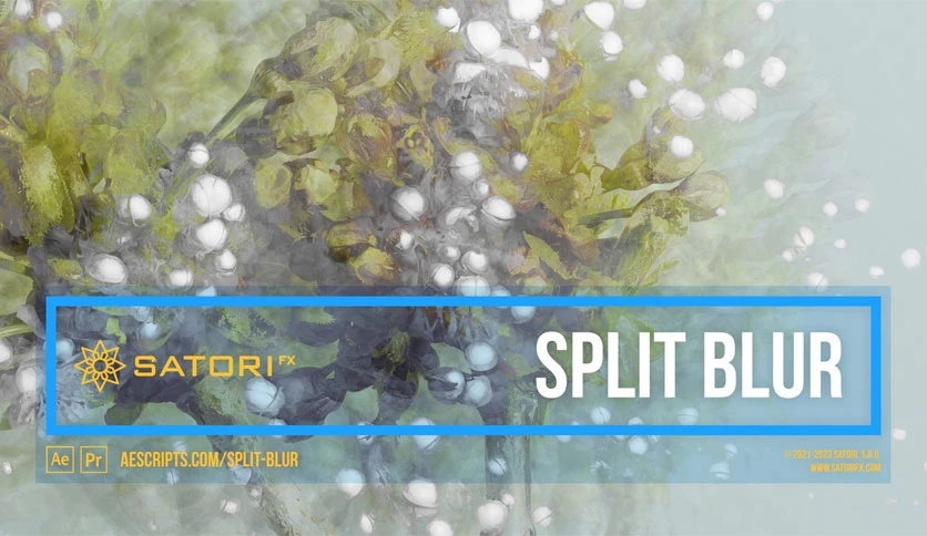 6800ddd03cef6-aescripts-split-blur-FeatureImage