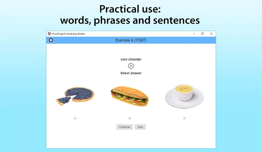 657998254b97f-english-visual-vocabulary-builder-screenshot2