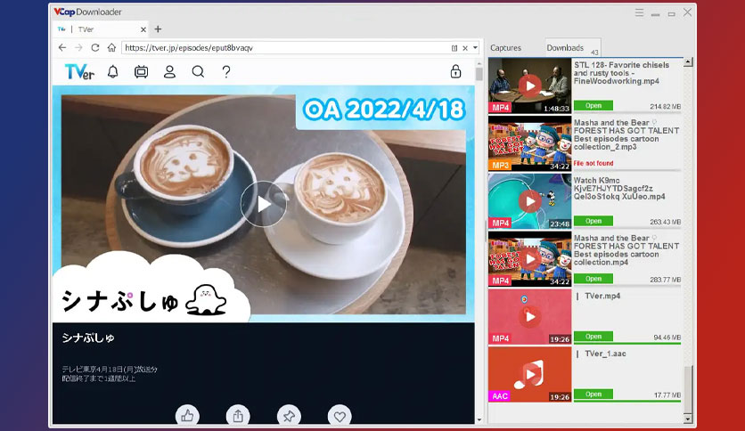 vcap-downloader-pro-free-download-03