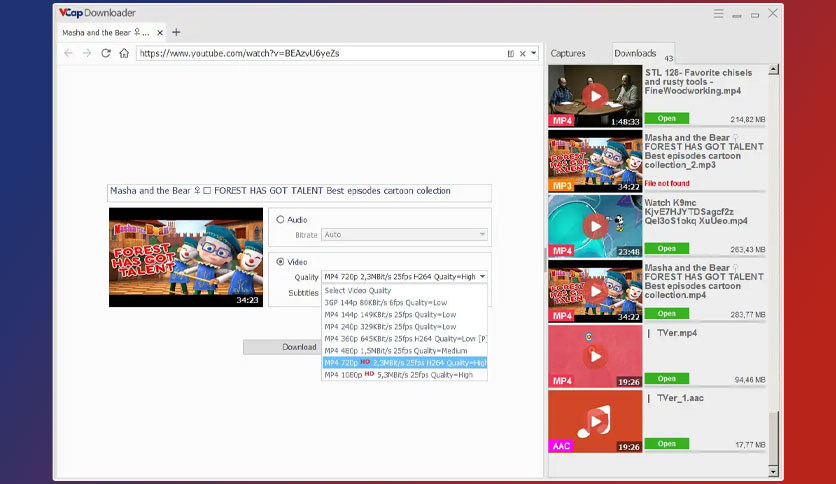 vcap-downloader-pro-free-download-04