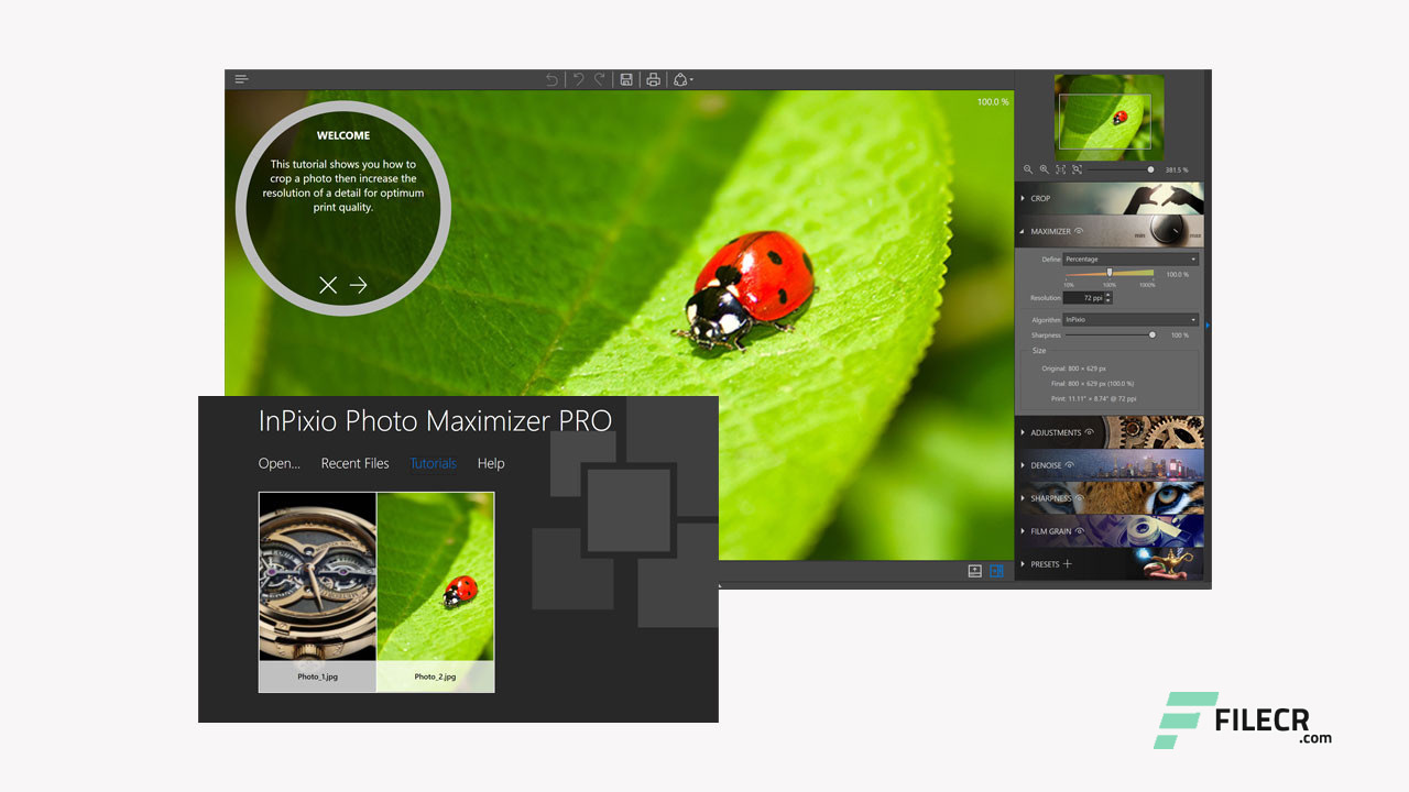 Scr3_InPixio-Photo-Maximizer-Pro_free-download