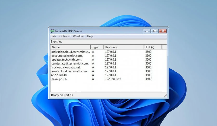 69cb5d59a64a5-hanewin-dns-server-screenshot2