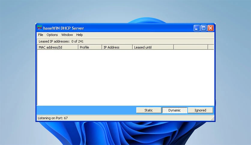 69cb5779d6d4e-hanewin-dhcp-server-screenshot7