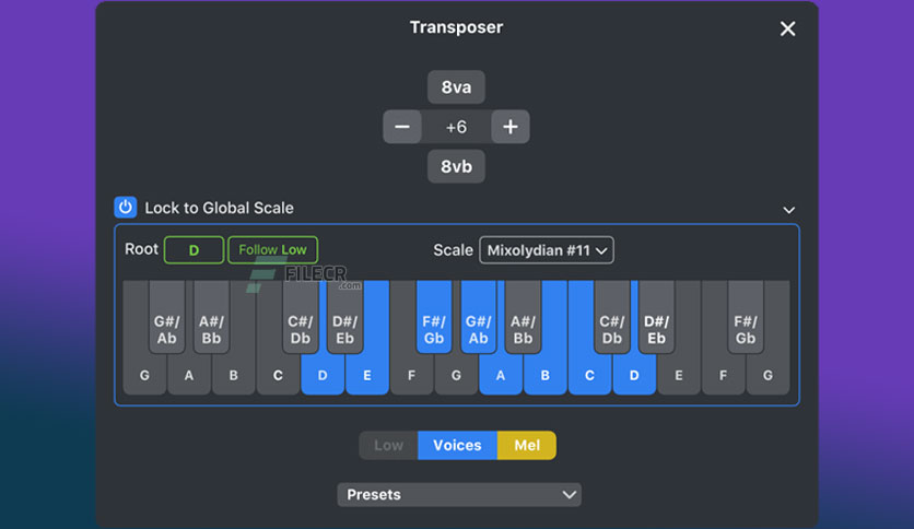nextmidi-divisimate-for-download-03