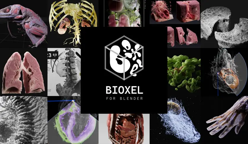 6a212479a14a9-superhive-market-omoolab-bioxel-nodes-FeatureImage