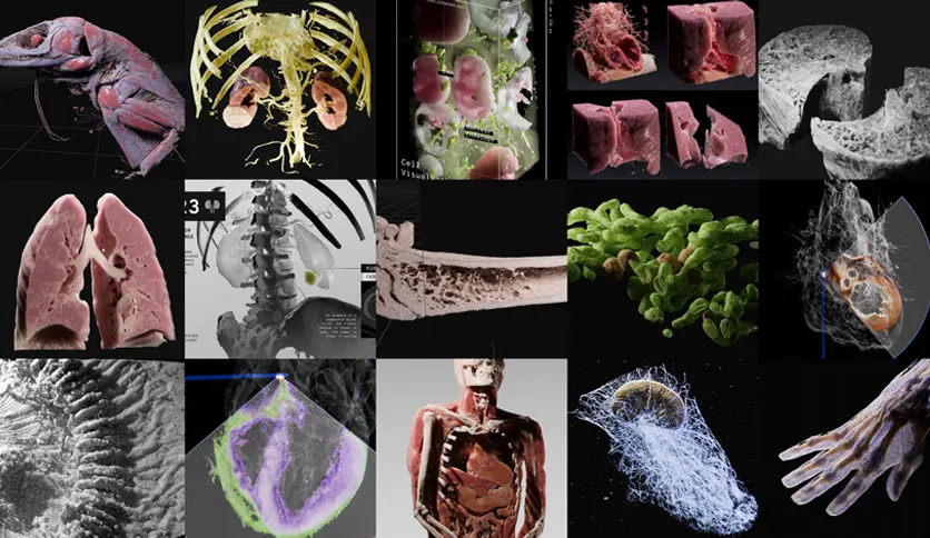 6a212478dfecf-superhive-market-omoolab-bioxel-nodes-screenshot4