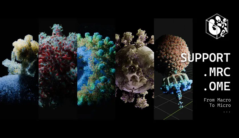 6a212476c5700-superhive-market-omoolab-bioxel-nodes-screenshot2