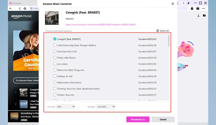 6762b3270a173-songget-screenshot7
