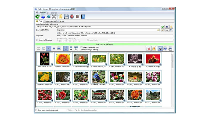 Bulk-Image-Downloader-Free-download-02