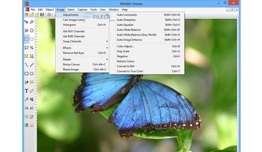 wildbit-viewer-commercial-free-download-01