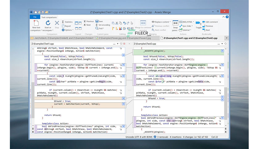 Araxis-Merge-Professional-Edition-Free-download-02