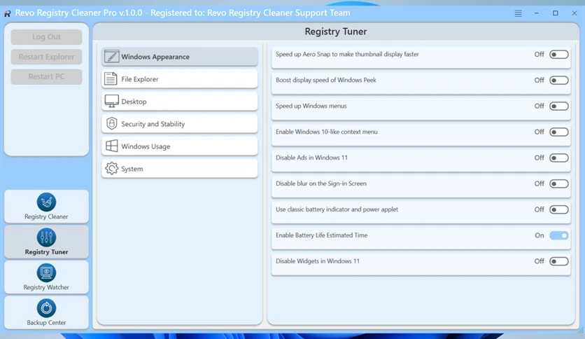 67aaedc800a2b-revo-registry-cleaner-pro-screenshot2