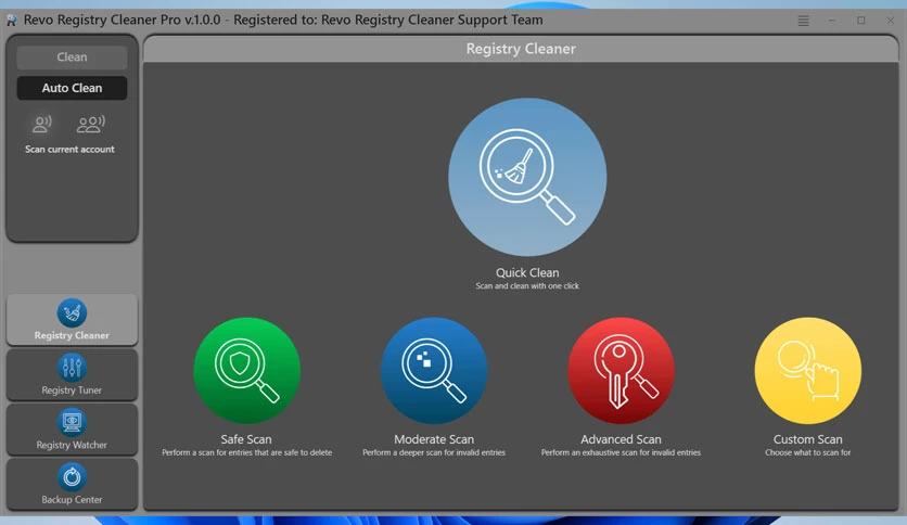 67aaedd1bd36b-revo-registry-cleaner-pro-screenshot4