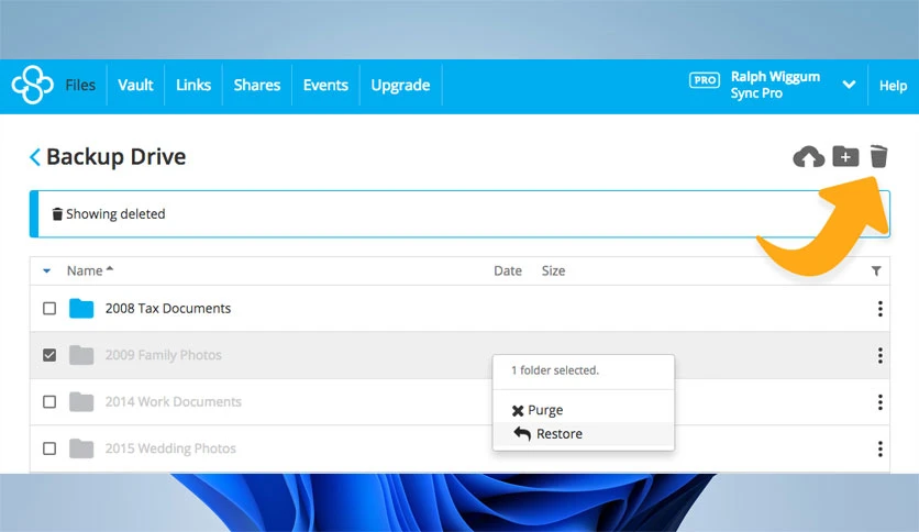 69731d5717ee3-sync-for-windows-screenshot1