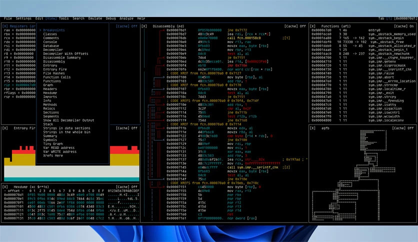 69d79576a438a-radare2-screenshot1