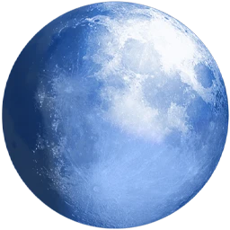 Pale Moon 34.3.1
