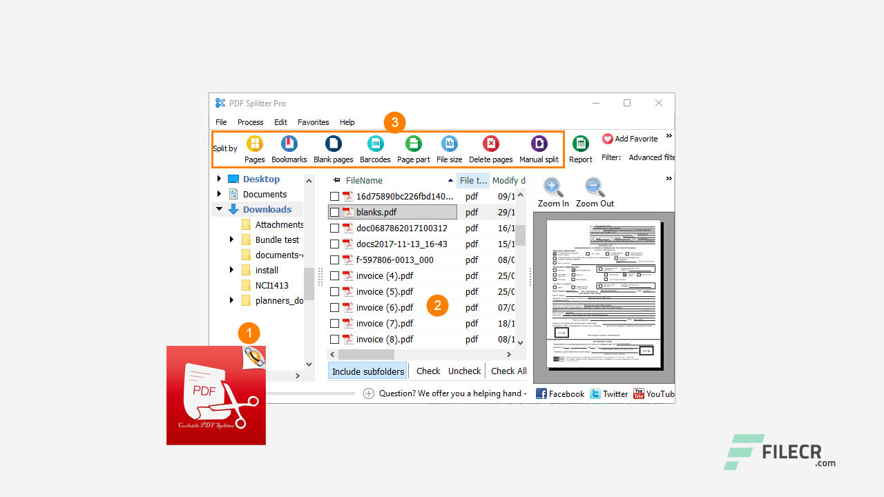 Scr1_Coolutils-PDF-Splitter_free-download