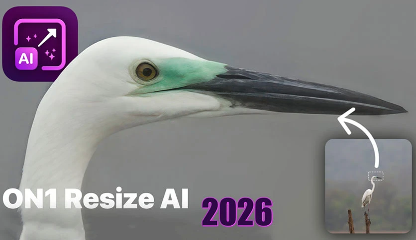 6892ffcbd9a2a-on1-resize-ai-latest-version-FeatureImage