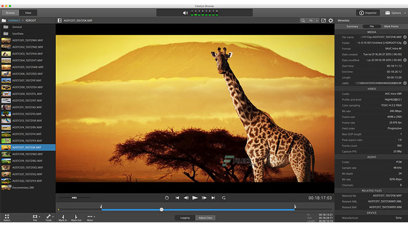 Sony-Catalyst-Browse-Suite-Free-Download-01-1