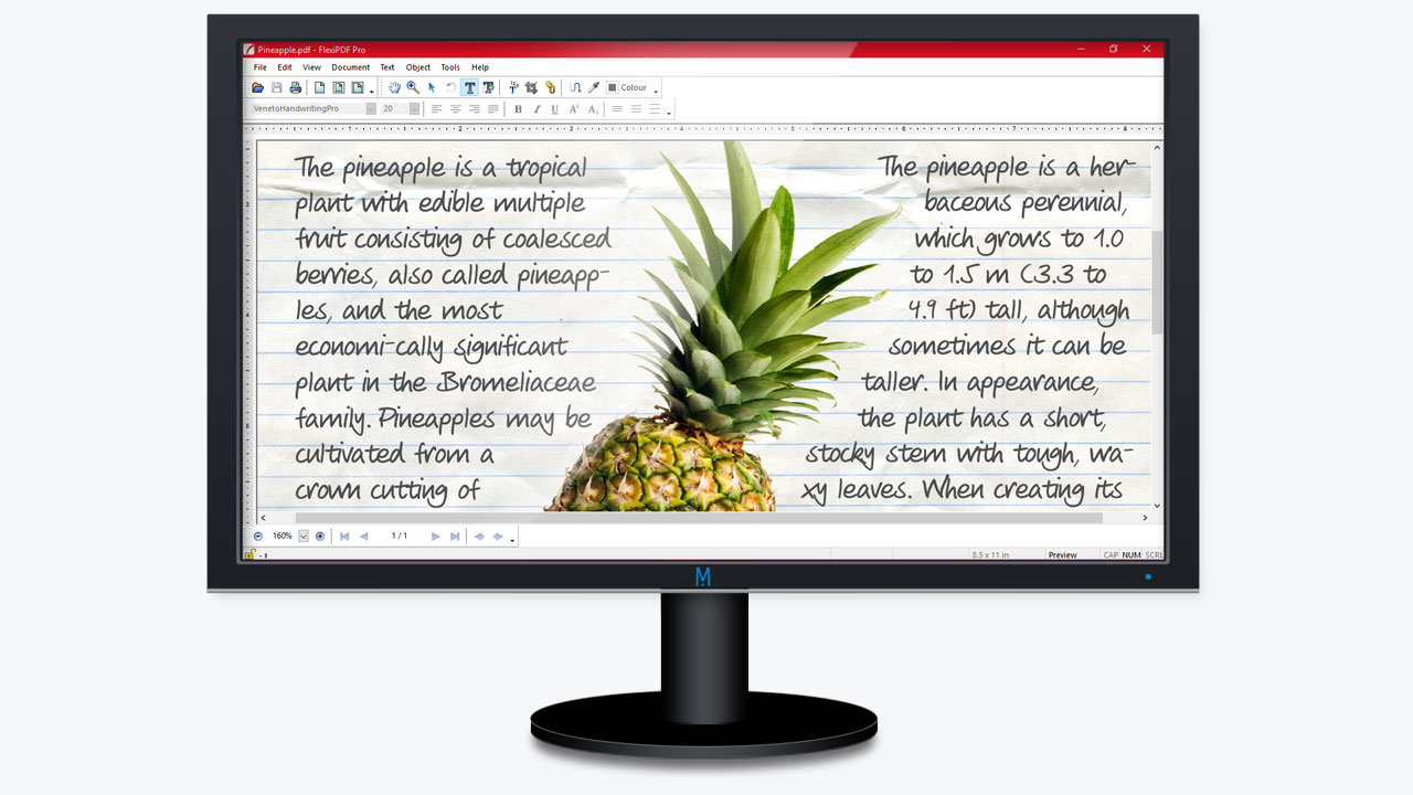 Scr5_SoftMaker-FlexiPDF-Professional_free-download