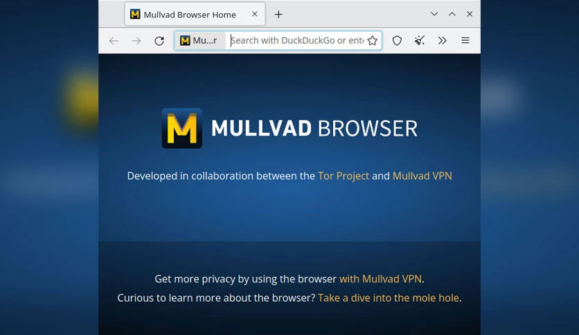 65cc42de0c65d-mullvad-browser-for-windows-FeatureImage