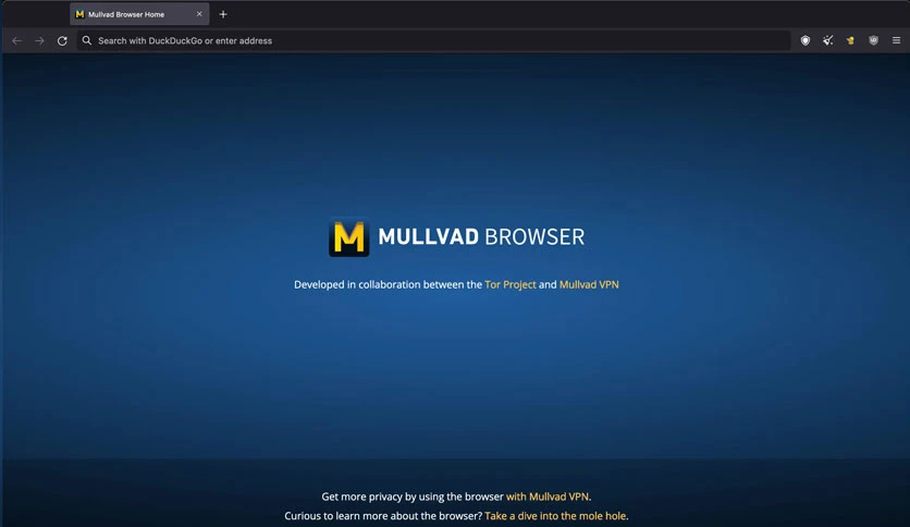 65cc42d9a5d4d-mullvad-browser-for-windows-screenshot1
